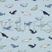 JERSEY WHALES LIGHT BLUE (thumbnail)