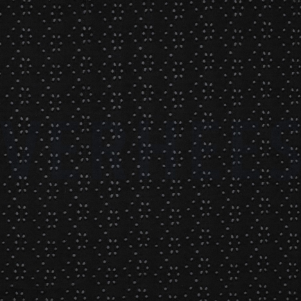 EYELET STRETCH ZWART (hover)