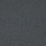 ROYAL TÜLL GLITZER SCHWARZ/SILBER (thumbnail)