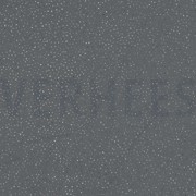 ROYAL TÜLL GLITZER DUNKELGRAU (thumbnail)