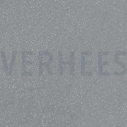 ROYAL TULE GLITTER GRIJS (thumbnail)