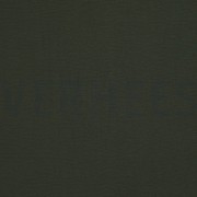 PAPILLON DONKERGROEN (thumbnail)