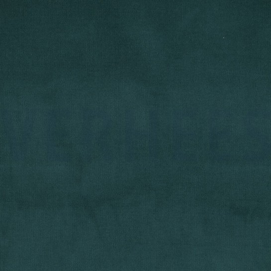 CORDUROY BABYRIB 21W DENNEGROEN #7