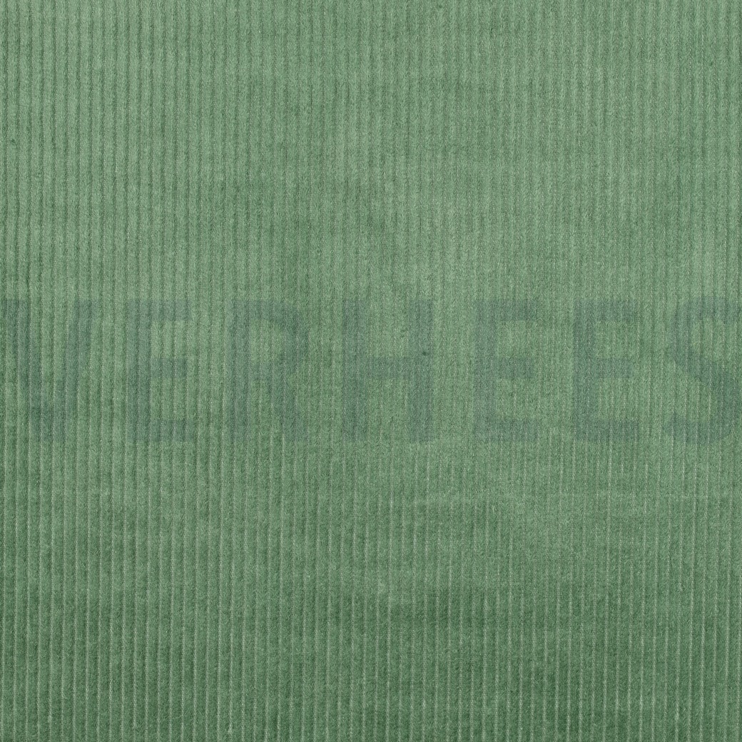 WASHED CORDUROY 4.5W BASIL