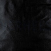 FÊTE NOIR (thumbnail)