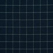 CHECKS INDIGO (thumbnail)