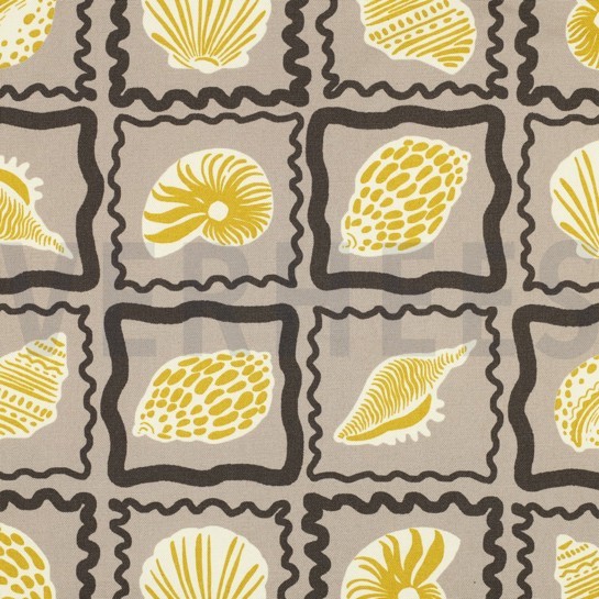 CANVAS SHELLS SAND #7
