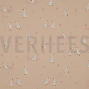 FINE POPLIN GOOSE POWDER (thumbnail)