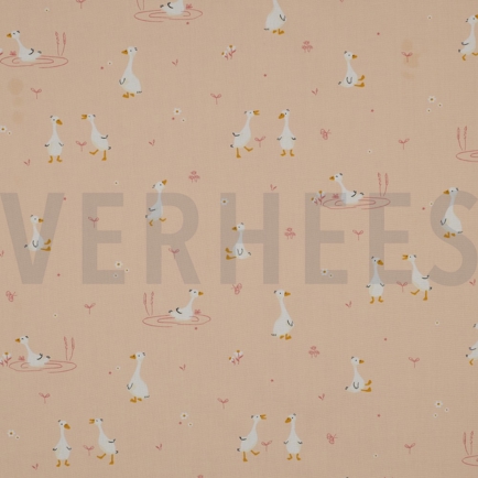 FINE POPLIN GOOSE POWDER (hover)