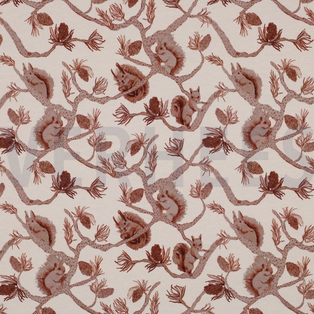 FRENCH TERRY DIGITAL SQUIRRELS ECRU