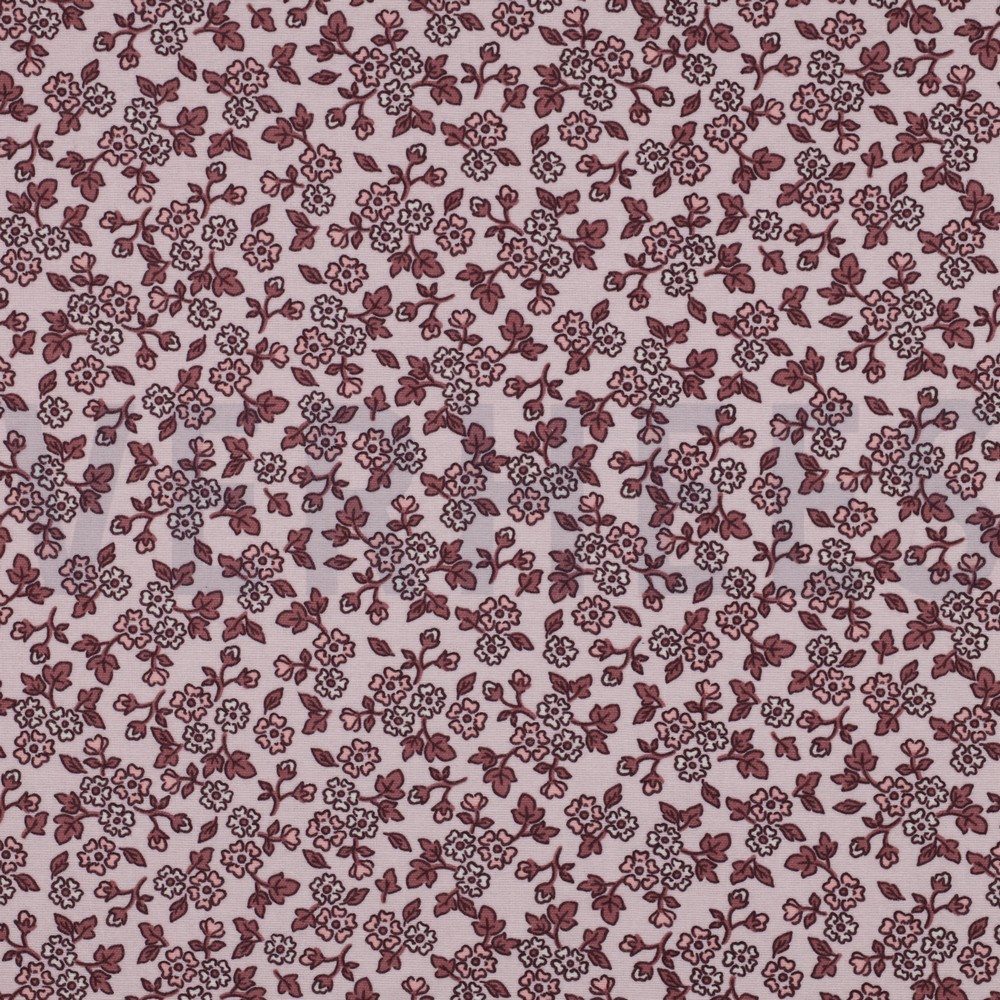 FLANNEL FLOWERS LIGHT PINK