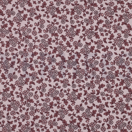 FLANNEL FLOWERS LIGHT PINK (hover)