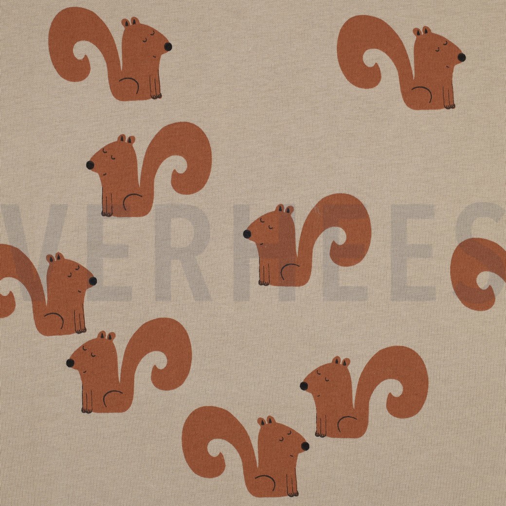 JOGGING SQUIRRELS SAND