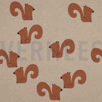 JOGGING EEKHOORNS ZAND (hover)