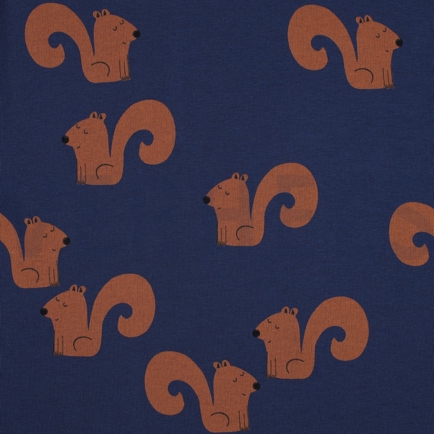 JOGGING EEKHOORNS JEANSBLAUW (hover)