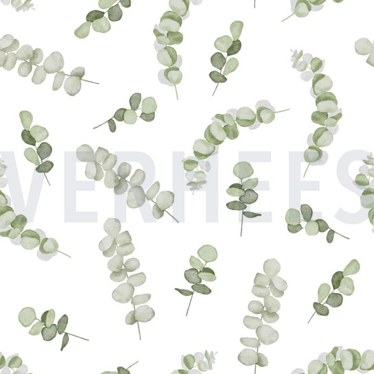CANVAS DIGITAL EUCALYPTUS WHITE/GREEN #7