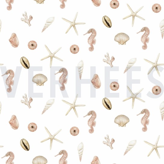 CANVAS DIGITAL SHELLS WHITE #7