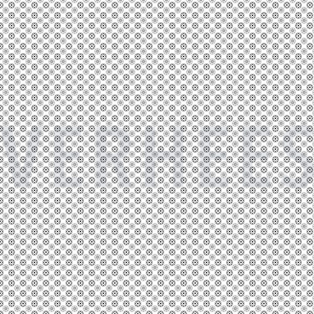 BAUMWOLLE POPELINE MINIMALS WEISS/SCHWARZ