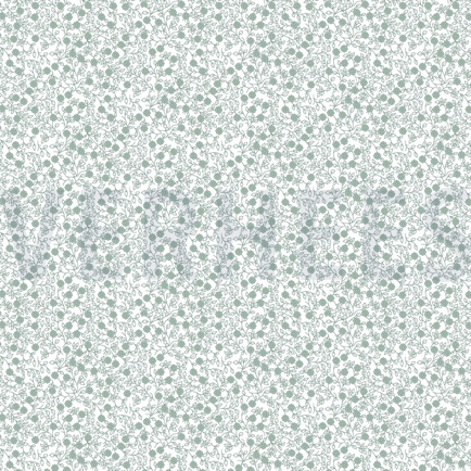 POPLIN MINIMALS WHITE/NILE (hover)