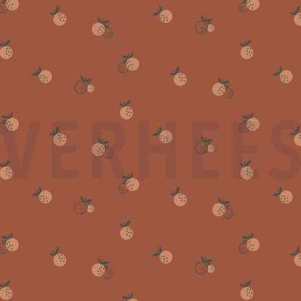 JERSEY GOTS FRUIT ORANGE (hover)