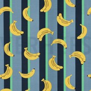 JERSEY FRÜCHTE PETROL (thumbnail)