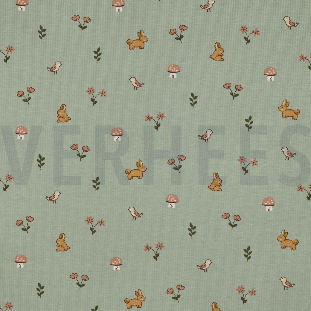 JERSEY GOTS KANINCHEN SALBEI