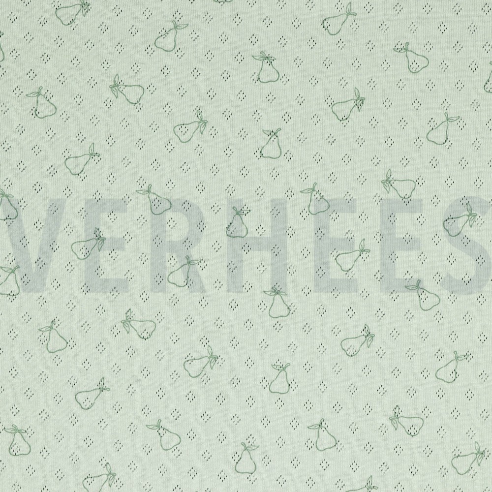 POINTOILLE PEAR NILE