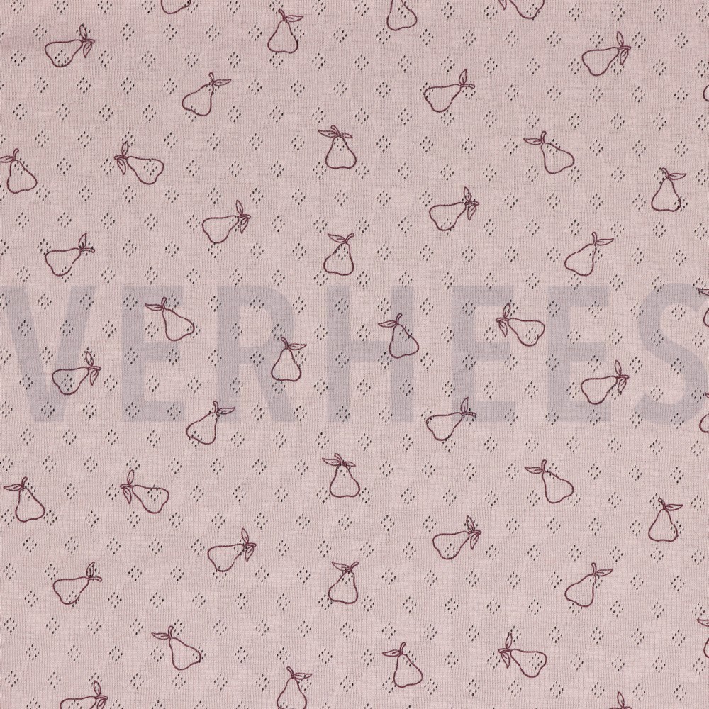 POINTOILLE PEER OUDROZE