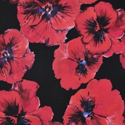 FRENCH TERRY DIGITAL BLUMEN SCHWARZ (thumbnail)