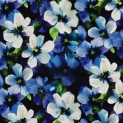 PUNTA DI ROMA DIGITAL BLUMEN SCHWARZ (thumbnail)