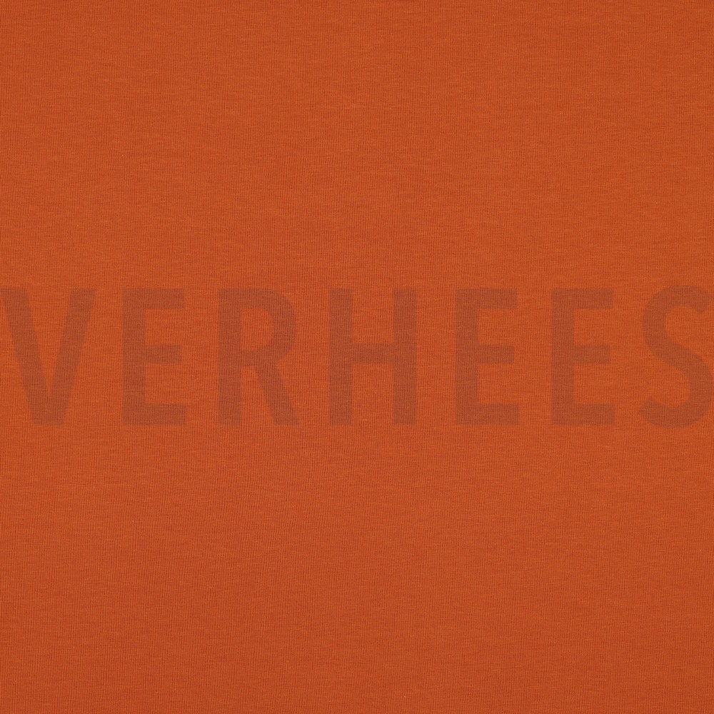 JERSEY GOTS BERNSTEIN