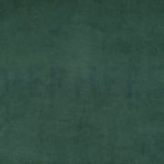NICKY VELOURS DARK GREEN (thumbnail)