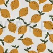 TOILE DÉCORATION FRUIT BLANC (thumbnail)