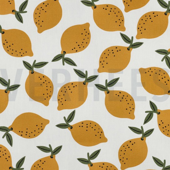 TOILE DÉCORATION FRUIT BLANC #7