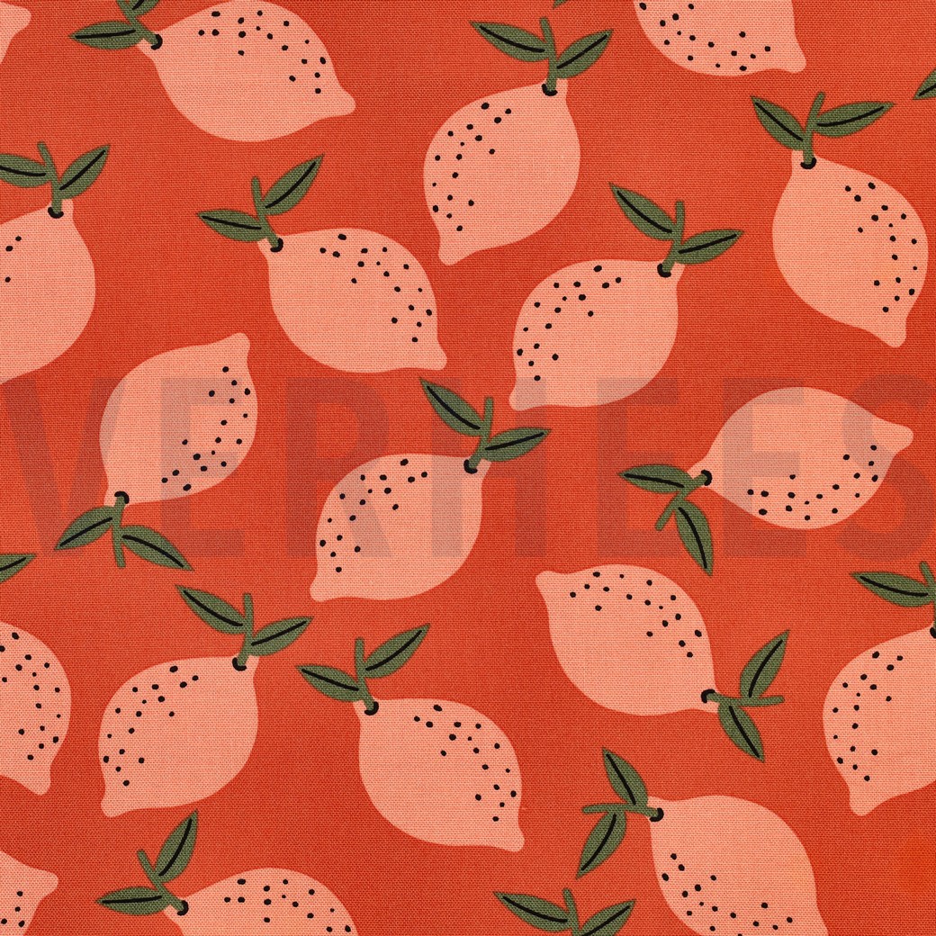 TOILE DÉCORATION FRUIT ORANGE