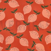 TOILE DÉCORATION FRUIT ORANGE (thumbnail)