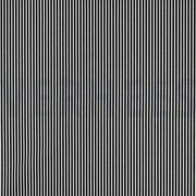 POPLIN STRIPES BLACK (thumbnail)