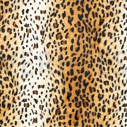 VELBOA LYNX ÉCRU / GOUD / BRUIN (thumbnail)