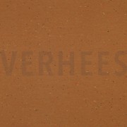 COSY COLOURS SWEAT SENFGELB (thumbnail)