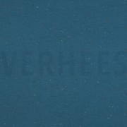 COSY COLOURS SWEAT PETROL (thumbnail)