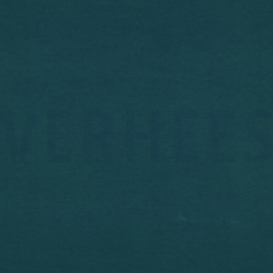 FRENCH TERRY GOTS VERT FONCÉ #7