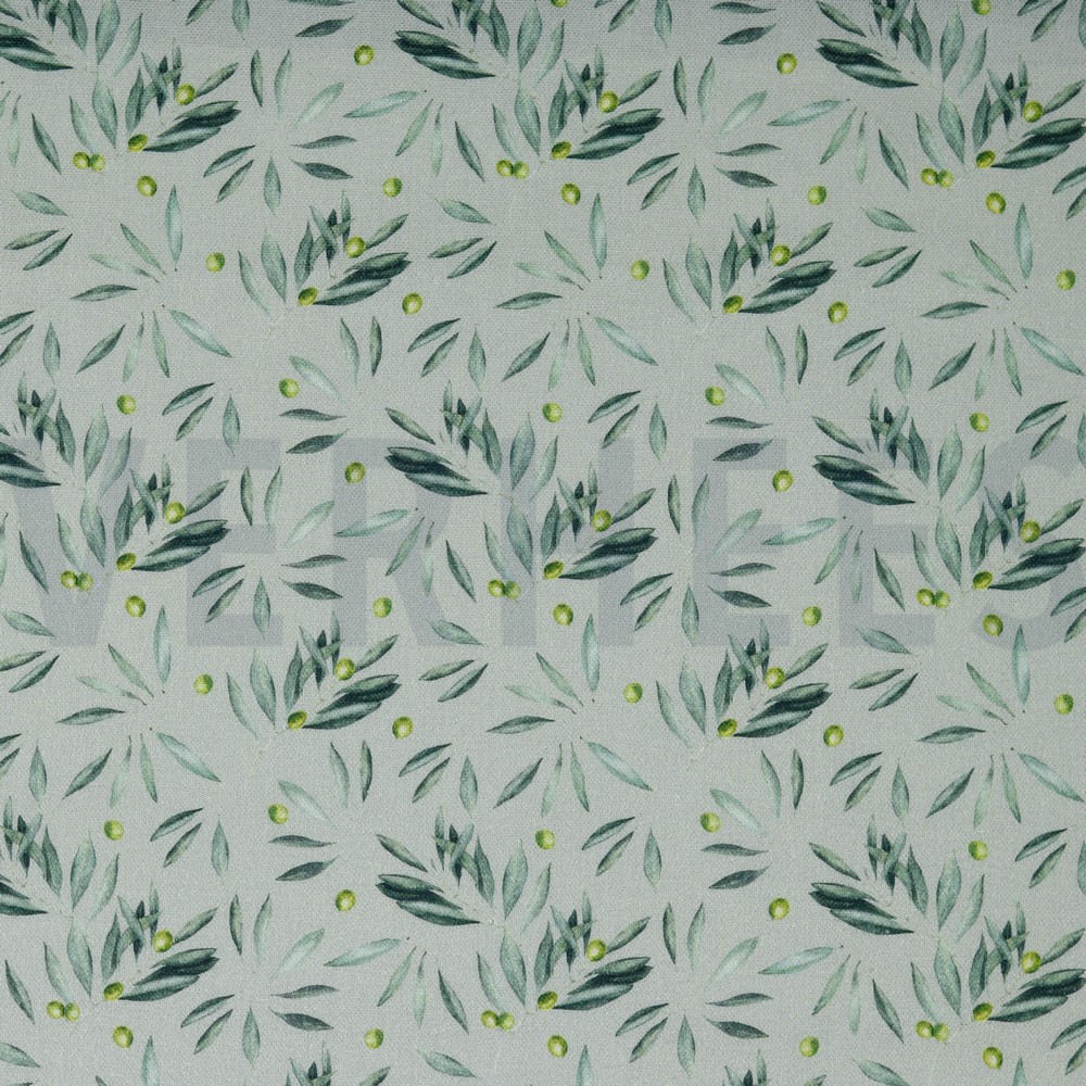 CANVAS DIGITAL OLIVEN HELLGRAU