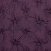 STEPPSTOFF STERN BEERE (thumbnail)