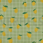 COTON ENDUIT FRUIT VERT (thumbnail)