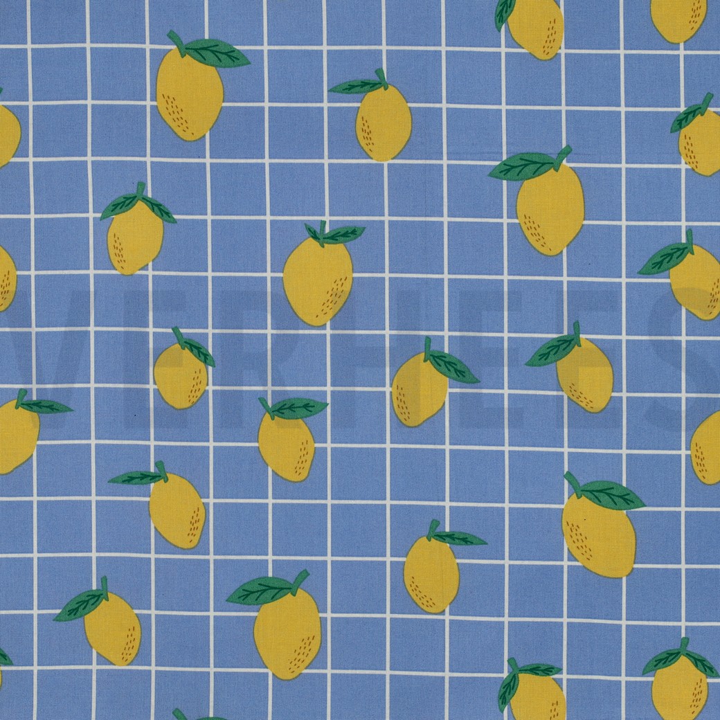 COTON ENDUIT FRUIT BLEU