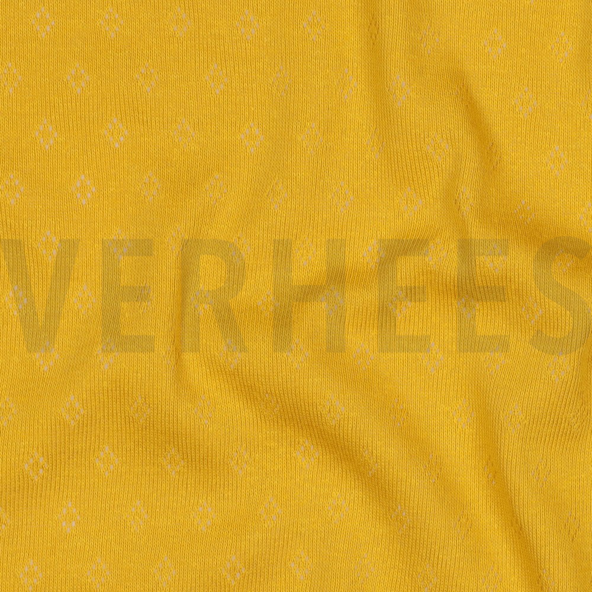 POINTOILLE AJOUR OKER (high resolution) #2