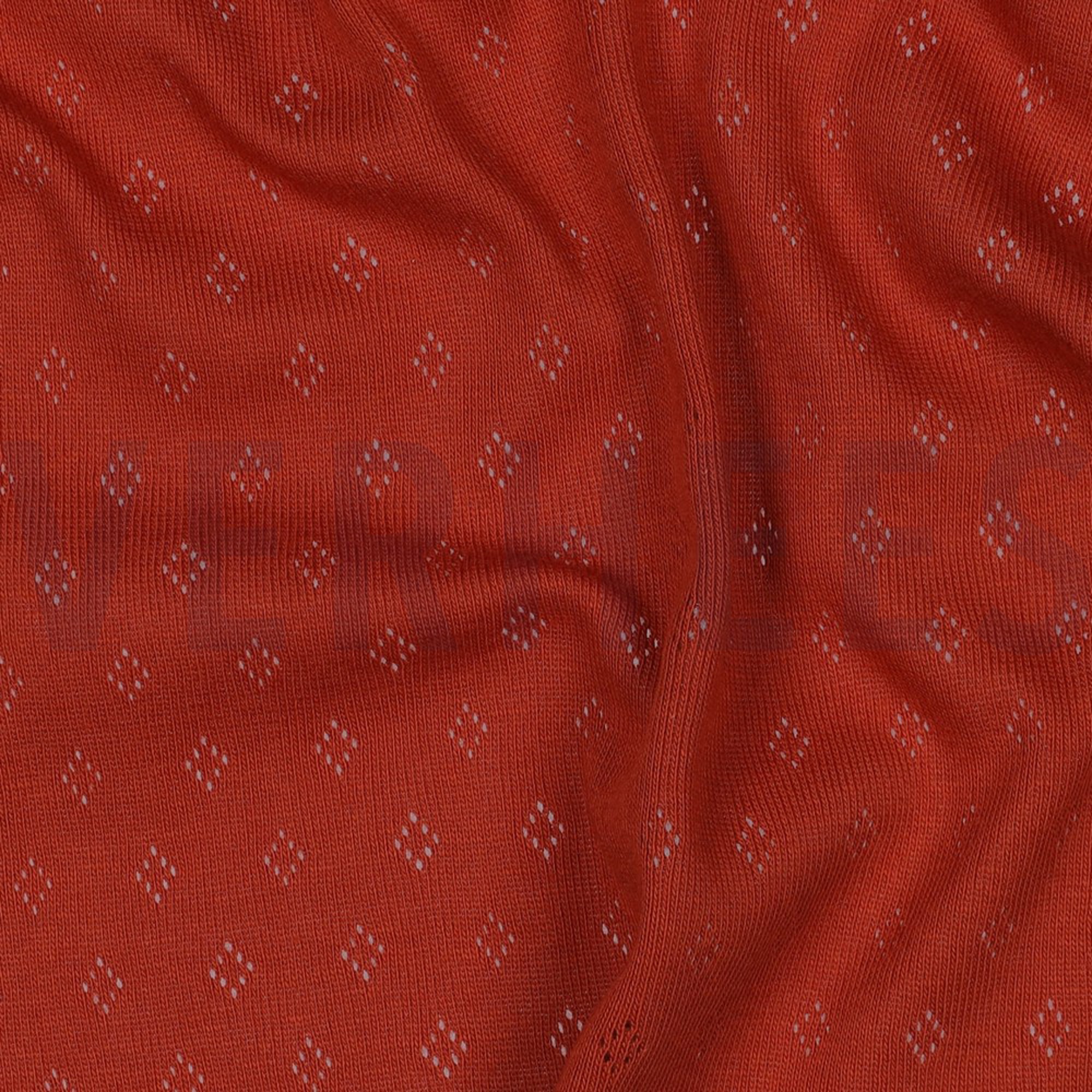 POINTOILLE BRICK (high resolution) #2