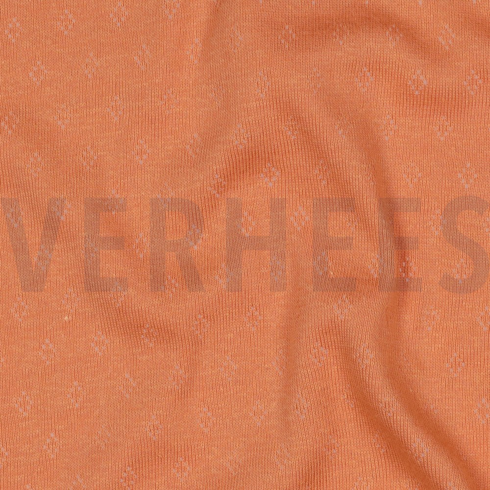 POINTOILLE DARK SALMON (high resolution) #2