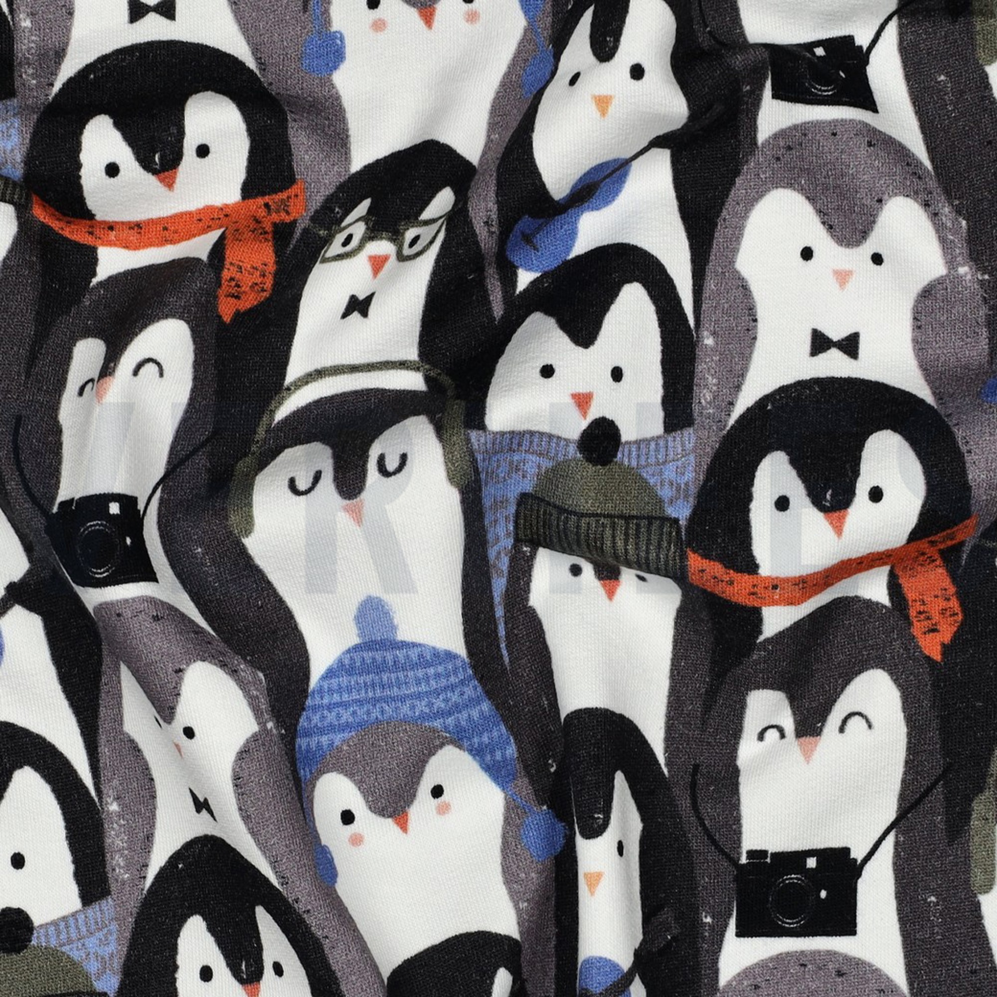 SWEAT DIGITAL PINGUINE GRAU (high resolution) #2