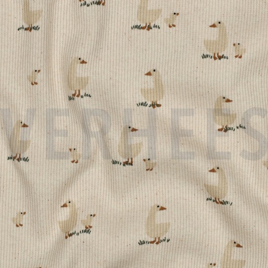 RIB JERSEY GOTS NATUREL EENDEN NATUREL #7